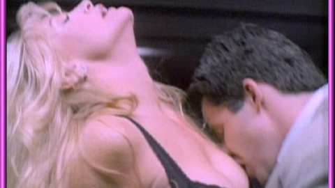 Pic: Shannon Tweed in Body Chemistry 4