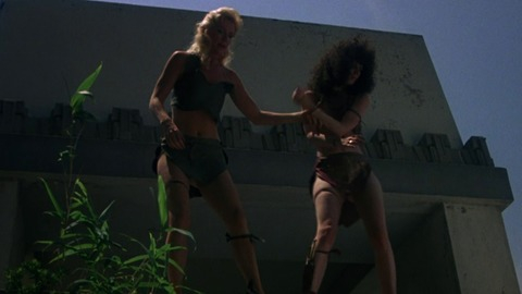 Pic: Shannon Tweed in Cannibal Women in the Avocado Jungle of Death
