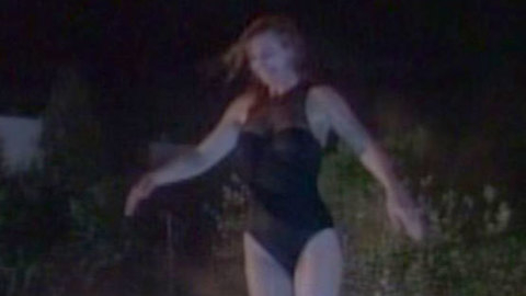 Pic: Shannon Tweed in Baywatch