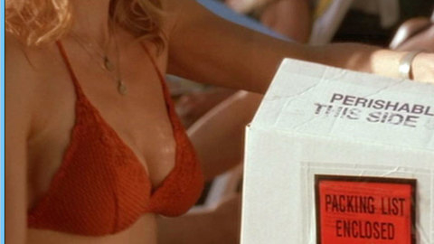 Pic: Kyra Sedgwick in Loverboy