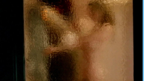 Pic: Kyra Sedgwick in The Closer