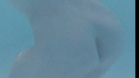 Pic: Emmanuelle Seigner in R.P.M.