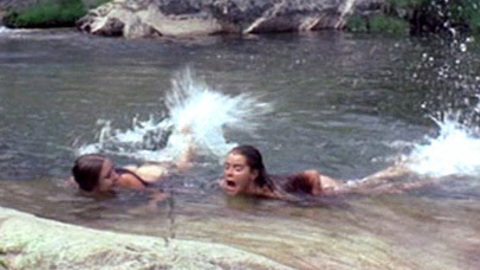 Pic: Jane Seymour in Sinbad and the Eye of the Tiger