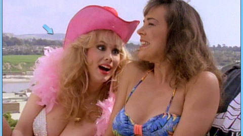 Pic: Rhonda Shear in Heavy Petting Detective