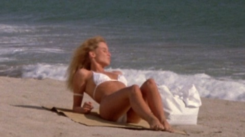 Pic: Nicollette Sheridan in The Sure Thing