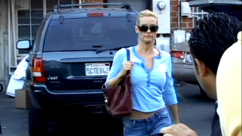 Pic: Nicollette Sheridan in America's Favorite  Housewives