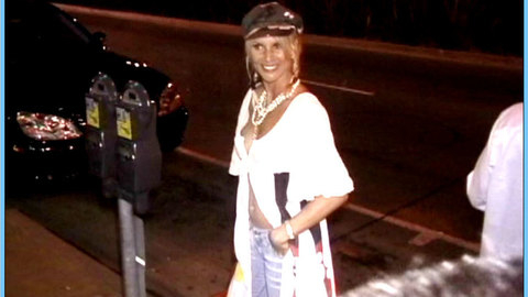 Pic: Nicollette Sheridan in America's Favorite  Housewives