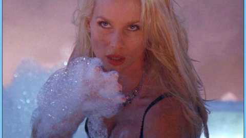 Pic: Nicollette Sheridan in Code Name: The Cleaner