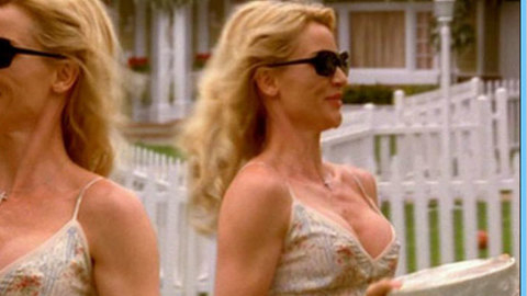 Pic: Nicollette Sheridan in Desperate Housewives (2004-2011)