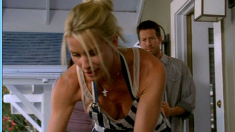 Pic: Nicollette Sheridan in Desperate Housewives