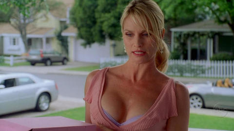 Pic: Nicollette Sheridan in Desperate Housewives