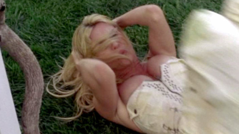 Pic: Nicollette Sheridan in Desperate Housewives