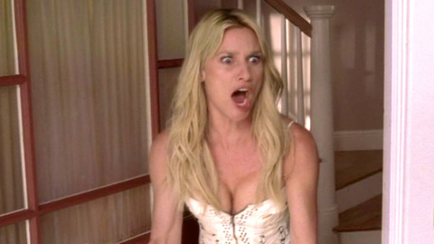 Pic: Nicollette Sheridan in Desperate Housewives
