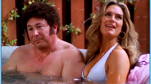 Pic: Brooke Shields in That '70s Show