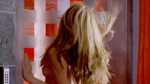 Pic: Brooke Shields in Bob the Butler (2005)