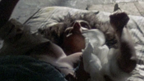 Pic: Marina Sirtis in Death Wish III