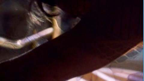 Pic: Helen Slater in Betrayal of the Dove