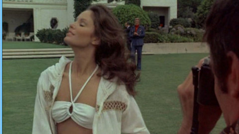 Pic: Jaclyn Smith in Charlie's Angels