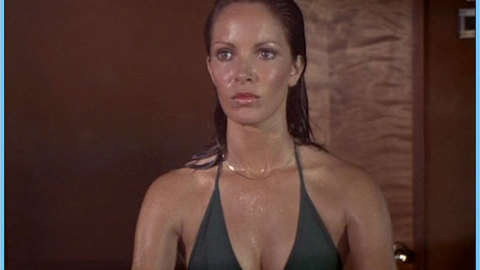 Pic: Jaclyn Smith in Charlie's Angels