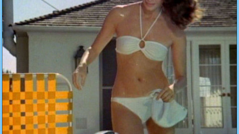 Pic: Jaclyn Smith in Charlie's Angels