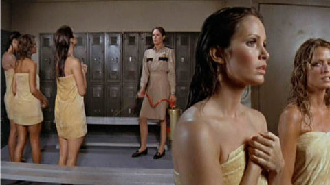 Pic: Jaclyn Smith in Charlie's Angels
