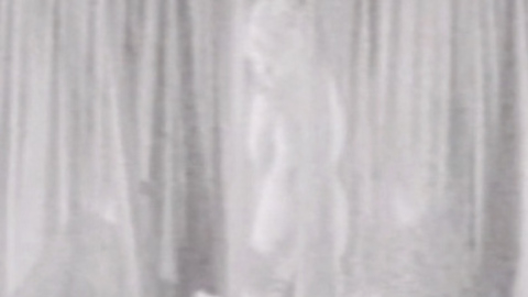 Pic: Elke Sommer in Daniella by Night