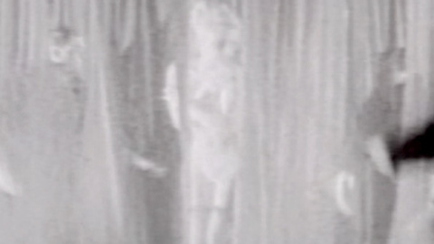 Pic: Elke Sommer in Daniella by Night