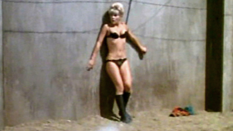 Pic: Elke Sommer in The Wicked Dreams of Paula Schultz