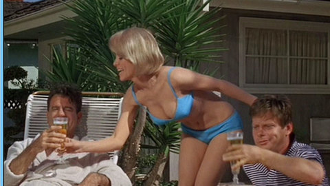 Pic: Inger Stevens in A Guide for the Married Man