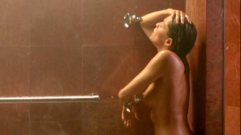 Pic: Sharon Stone in The Specialist