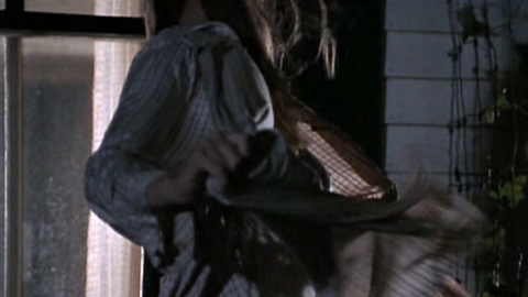 Pic: Meryl Streep in The Bridges of Madison County