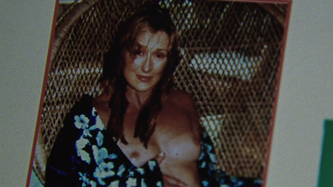 Pic: Meryl Streep in Adaptation