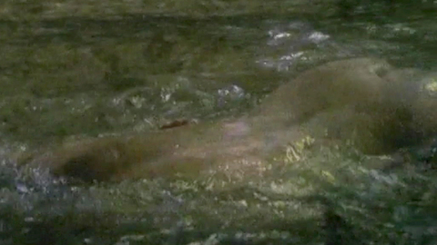 Pic: Imogen Stubbs in A Summer Story