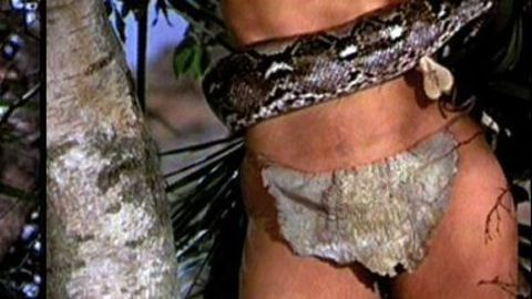 Pic: Victoria Vetri in When Dinosaurs Ruled the Earth