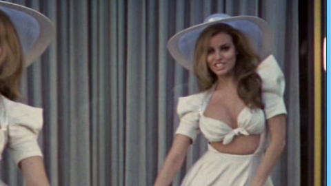 Pic: Raquel Welch in Myra Breckinridge (1970)
