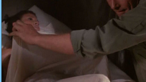 Pic: Raquel Welch in Trouble in Paradise