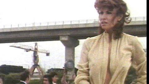 Pic: Raquel Welch in Stuntwoman