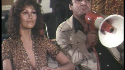 Pic: Raquel Welch in Stuntwoman