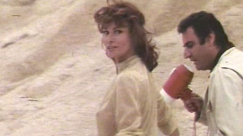 Pic: Raquel Welch in Stuntwoman