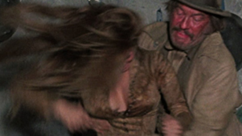 Pic: Raquel Welch in Hannie Caulder