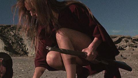 Pic: Raquel Welch in Hannie Caulder