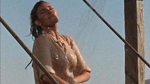 Pic: Raquel Welch in 100 Rifles
