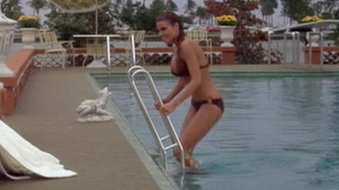 Pic: Raquel Welch in Lady in Cement