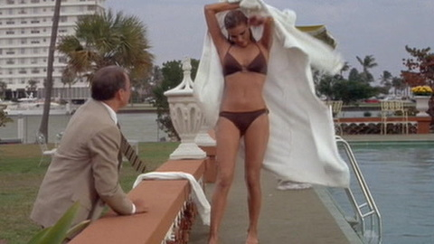 Pic: Raquel Welch in Lady in Cement