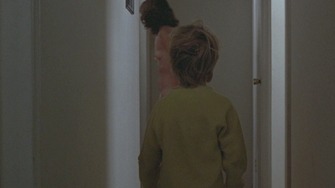 Pic: JoBeth Williams in Kramer vs. Kramer