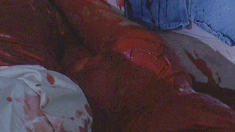 Pic: Amanda Wyss in A Nightmare on Elm Street