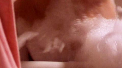 Pic: Katherine Heigl in Bug Buster