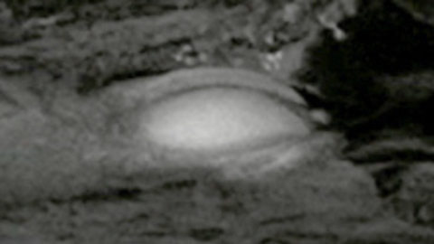 Pic: Kim Novak in Jeanne Eagels