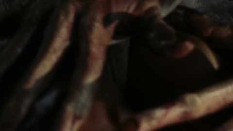 Pic: Melanie Shatner in Bloodstone: Subspecies II