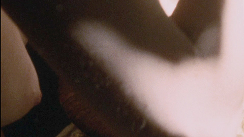 Pic: Tilda Swinton in Orlando (1993)